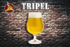 KIT RICETTA BIRRA FATTA IN