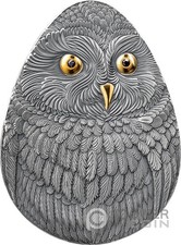 SHORT EARED OWL Marvelous Owls gufo 1 oz moneta d'argento 2 $ Niue 2024
