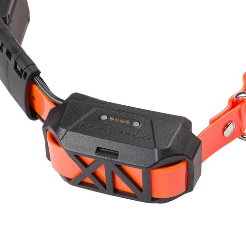 Canicom gps mini - canicom, collare