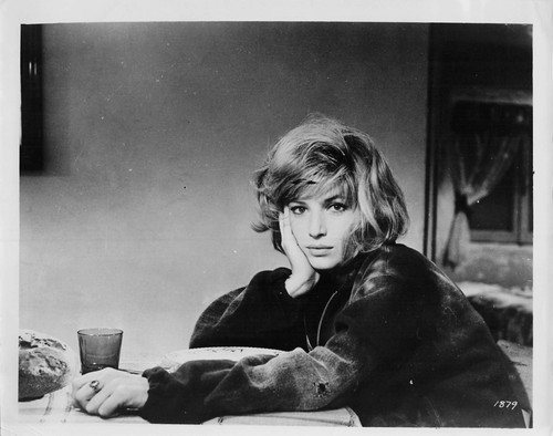 Monica vitti photo - vitti, still