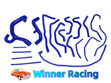 Tubi Silicone per FORD