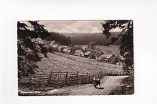 D3554) VERNICI PULEDRO in Solling - via Holzminden - Gasthaus RETTBERG