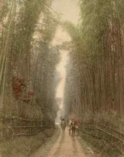 Japan Nikko road Vintage