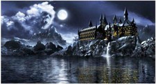 Poster Magic World cm 80×40