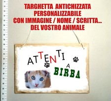 attenti al gatto