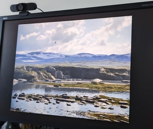 Monitor grafico nec - nec, multisync