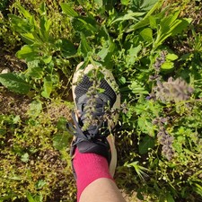 Scarpe Da Corsa Salomon N 40 E