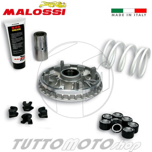 5119126 variatore malossi - /,