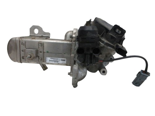 Valvola egr radiatore scarico - egr,