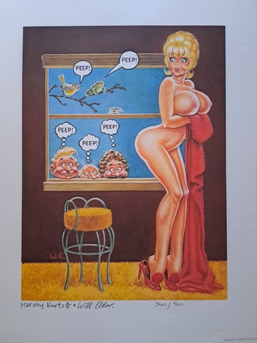 Rara stampa annie fanny - stampa,