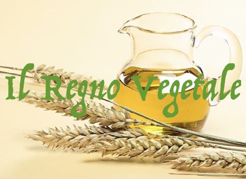 Olio germe grano puro - di,