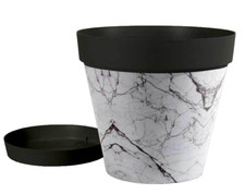 VASO PIANTE GRASSE FIORI SEMI