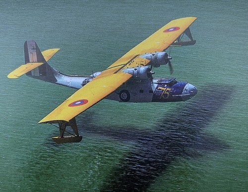Consolidated pby catalina - consolidated,