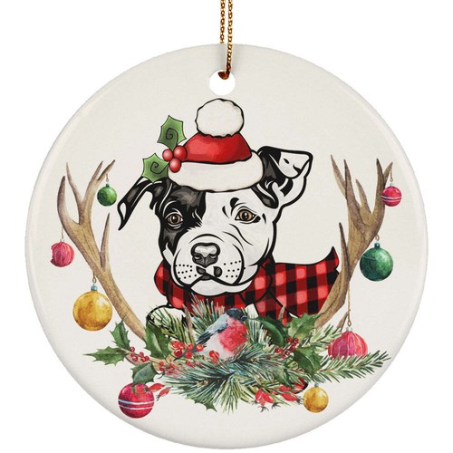 Carino cucciolo pitbull cane - cucciolo,