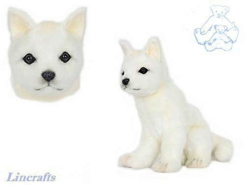 Hansa snow fox - fox, cub