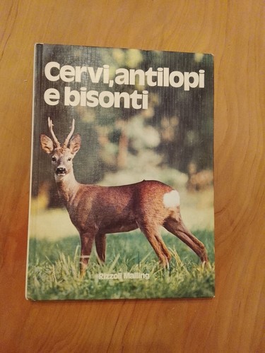 Cervi antilopi bisonti - cervi,, e