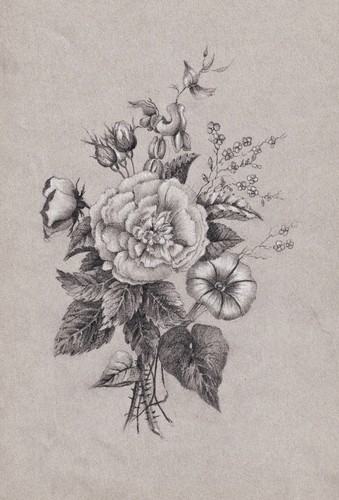 Bouquet fiori rose disegno - fiori,