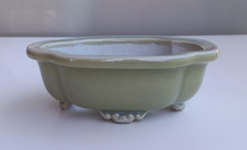 Vaso per bonsai Shuiming verde