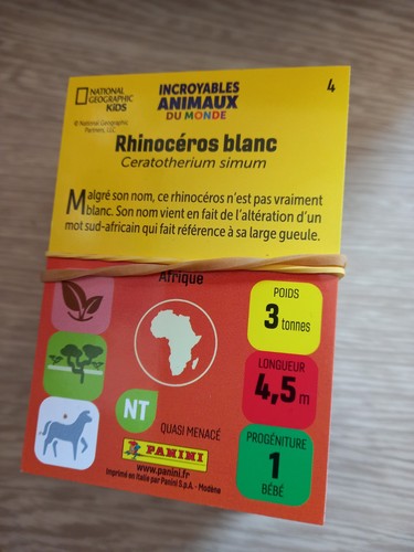 Lot cartes choix panini - lot, 10
