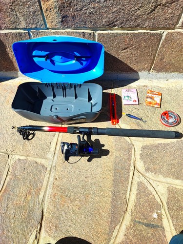 Kit pesca completo con canna