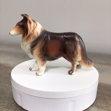 Vintage Border Collie Dog