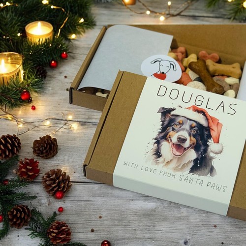 Border collie regalo natale - regalo,