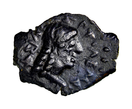 Testa tolomeo tolemaico - di,