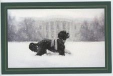 Biglietto di Natale Ufficiale