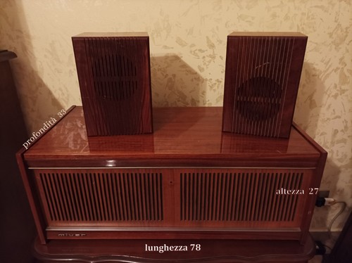 Mobile radio giradischi