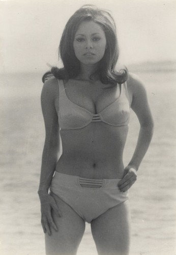 Carmen dene busty bikini - busty,