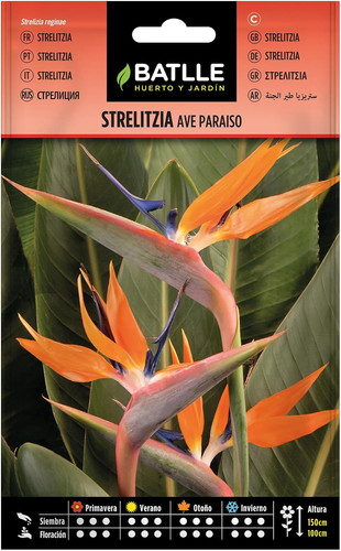 Batlle semi fiori - batlle, di