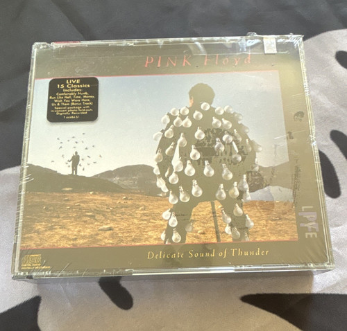 Pink floyd delicate - delicate, sound