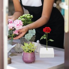  Torta Finta Matrimonio