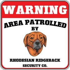 Segnale di attraversamento area di avvertimento pattugliato Rhodesian Ridgeback cane sicurezza croce Xing
