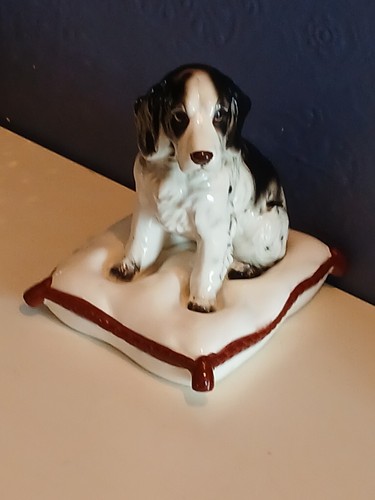 Vintage 1950s spaniel dog - spaniel, on