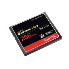 SanDisk 256GB Extreme PRO