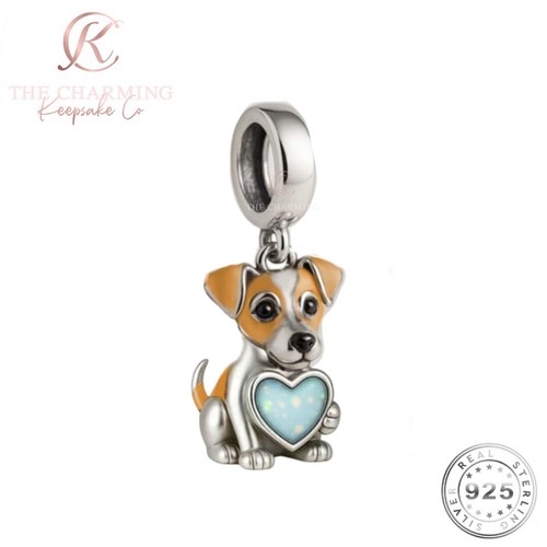 Jack russell terrier - russell,