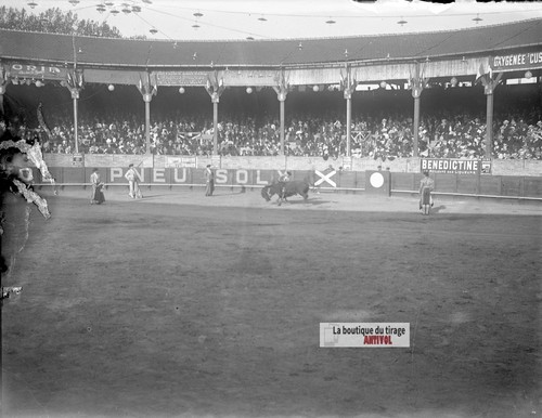 Corrida toro arena torero - arena,,