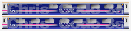 Adhesive vinyl coach decal - coach,