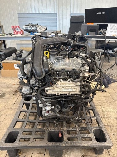 Motore volkswagen cross - motore,