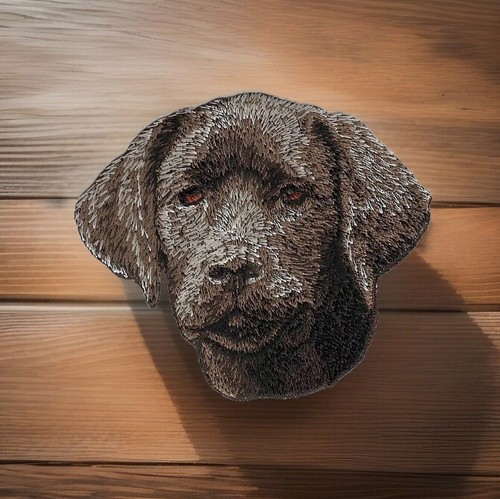 Toppa cane chocolate - chocolate, labrador