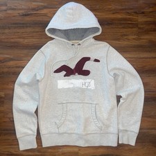 Felpa con cappuccio Hollister