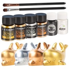 LEOBRO Vernice epossidica metallizzata 6 × 10 g polvere Mica con 2 pen