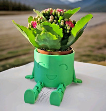 Vaso personalizzato Piante