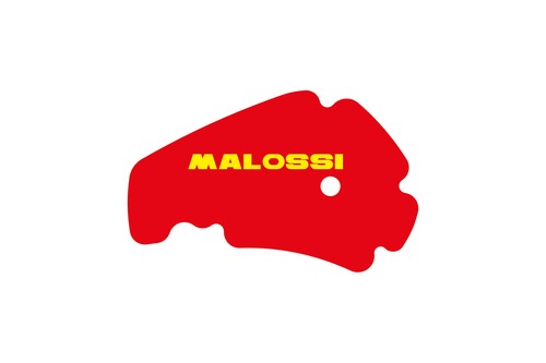 Elemento filtrante malossi - elemento,