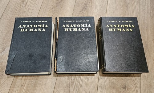 Tratado anatomia humana - anatomia,