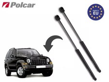 Pistoncini a Gas Cofano Motore