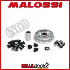 5111324 VARIATORE MALOSSI