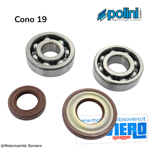 Kit revisione albero - kit,