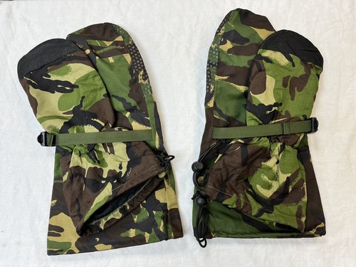 Cold weather mittens - weather, dpm